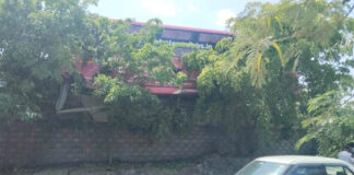 स्लीपर बस पुलिया से नीचे लटकी:पेड़ की आड़ से टला बड़ा हादसा Sleeper Bus Dangling from Culvert: Major Disaster Averted by a Tree