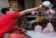 श्री बड़ पीपली बालाजी धाम में 4644 किलो दूध से हुआ अभिषेक Shri Bad Peepali Balaji Dham