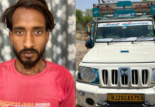 भैंस चुराने वाला शातिर चोर गिरफ्तार Cunning Buffalo Thief Arrested