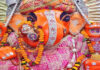 गुरु-पुष्य योग पर श्री नहर के गणेशजी मंदिर में होगा दूर्वा मार्जन से पंचामृत अभिषेक A Panchamrit Abhishek will be performed at the Shri Nahar Ke Ganeshji Temple on the auspicious occasion of Guru-Pushya Yoga.