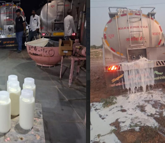खाद्य सुरक्षा विभाग ने नष्ट कराया 1450 लीटर संदिग्ध दूध