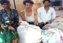 सील गोदाम में चोरी करने वाले तीन शातिर चोर गिरफ्तार