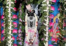 श्री गोवर्धननाथ जी मंदिर में सजी कमल तलाई की मनमोहक झांकी A captivating tableau of the 'Kamal Talai' has been beautifully arranged at the Shri Govardhannath Ji Temple.