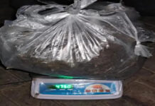 बिहार का गांजा तस्कर गिरफ्तार: 4.750 किलो मादक पदार्थ बरामद Ganja Smuggler from Bihar Arrested