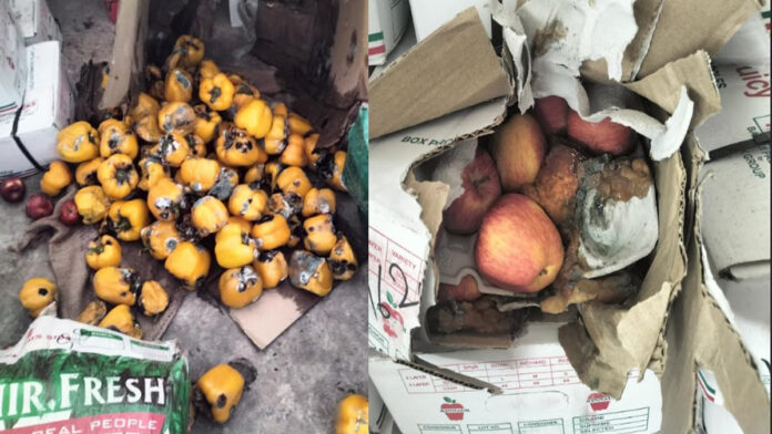khad1 10,000 kg of rotten fruits and expired dates destroyed at Mohana Mandi.