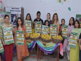 मैंगो फेस्टिवल 21 जून को, आरआईसी जयपुर में होगा आयोजन Mango Festival to be held on June 21 at RIC, Jaipur.