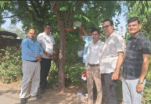 सर्व समाज सेवा समिति का अनूठा प्रयास: भीषण गर्मी में पक्षियों के लिए सहारा बना परिंडा अभियान A Unique Initiative by the Sarv Samaj Seva Samiti