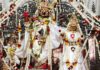 ठाकुर जी ने धवल रंग की सूती पोशाक धारण की Thakur Ji wore a white cotton attire.