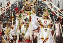 ठाकुर जी ने धवल रंग की सूती पोशाक धारण की Thakur Ji wore a white cotton attire.