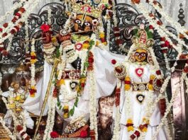 ठाकुर जी ने धवल रंग की सूती पोशाक धारण की Thakur Ji wore a white cotton attire.