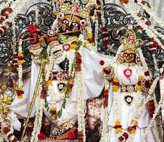 ठाकुर जी ने धवल रंग की सूती पोशाक धारण की Thakur Ji wore a white cotton attire.