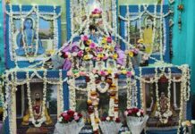 श्री सरस निकुंज : श्रीशालिग्राम जी सरकार की पौढ़ावनी के साथ शयन दर्शन Shri Radha Saras Bihari Ju Sarkar will be showered with loving affection.