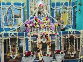 श्री राधा गिरधर लाल की भव्य शोभायात्रा आज Shri Radha Saras Bihari Ju Sarkar will be showered with loving affection.