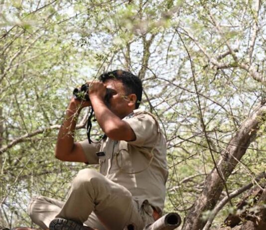 प्रदेश में वन्यजीव गणना के लिए वाटर होल पद्धति से 24 घंटे का विशेष अभियान शुरू A special 24-hour campaign for the wildlife census has commenced in the state using the waterhole method.