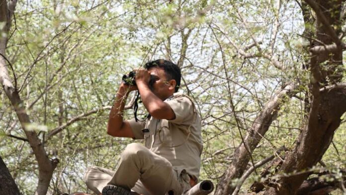 A special 24-hour campaign for the wildlife census has commenced in the state using the waterhole method.