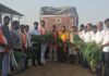 अमावस्या पर गौ सेवा का संकल्प: गौ भक्तों ने किया चारा और गुड़ वितरण A Pledge of Cow Service on Amavasya