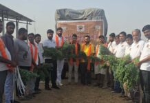 अमावस्या पर गौ सेवा का संकल्प: गौ भक्तों ने किया चारा और गुड़ वितरण A Pledge of Cow Service on Amavasya