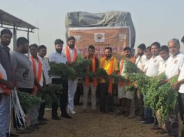 अमावस्या पर गौ सेवा का संकल्प: गौ भक्तों ने किया चारा और गुड़ वितरण A Pledge of Cow Service on Amavasya
