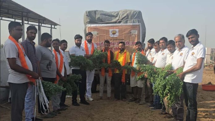 A Pledge of Cow Service on Amavasya