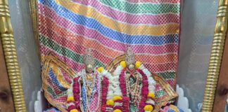 वेद मंत्रोच्चार से किया नृसिंह भगवान का पंचामृत अभिषेक-श्रृंगार