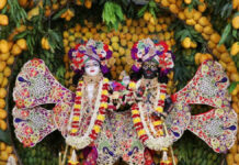 परमा एकादशी पर गुप्त वृन्दावन धाम में उमड़ा आस्था का सैलाब