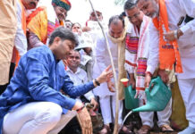 विश्व पर्यावरण दिवस पर भाजपा कार्यकर्ताओं ने पौधारोपण कर दिया एक पेड़ माँ के नाम का संदेश