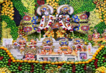 15 प्रकार के ड्राई फ्रूट्स से सजी गुप्त वृंदावन में भगवान की विशेष पोशाक The Lord's special attire at Gupt Vrindavan, adorned with 15 varieties of dry fruits.