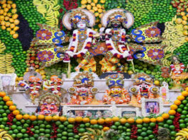 15 प्रकार के ड्राई फ्रूट्स से सजी गुप्त वृंदावन में भगवान की विशेष पोशाक The Lord's special attire at Gupt Vrindavan, adorned with 15 varieties of dry fruits.