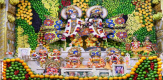 15 प्रकार के ड्राई फ्रूट्स से सजी गुप्त वृंदावन में भगवान की विशेष पोशाक The Lord's special attire at Gupt Vrindavan, adorned with 15 varieties of dry fruits.