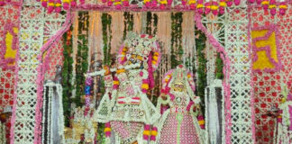 कमला एकादशी पर मंदिरों में सजेगी जल विहार झांकी A 'Jalvihar' tableau will be set up in temples on Kamala Ekadashi.