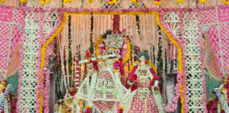 नौका विहार झांकी में ठाकुरजी का हुआ मनमोहक पुष्प श्रृंगार