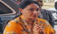 पर्यटक गाइड कल्याण बोर्ड गठन की मांग को लेकर उपमुख्यमंत्री दीया कुमारी को सौंपा ज्ञापन Demand for the constitution of a Tourist Guide Welfare Board