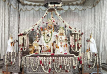 ठाकुरजी के हाथों में सजी सोने की पिचकारी: श्रद्धालुओं ने किए जलयात्रा दर्शन