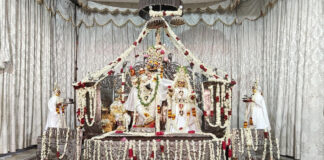ठाकुरजी के हाथों में सजी सोने की पिचकारी: श्रद्धालुओं ने किए जलयात्रा दर्शन