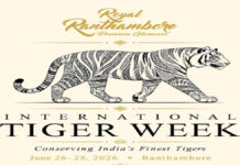 रॉयल रणथंभौर इंटरनेशनल टाइगर वीक 26 जून से Royal Ranthambore International Tiger Week starts on June 26.