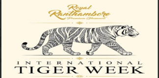 रॉयल रणथंभौर इंटरनेशनल टाइगर वीक 26 जून से Royal Ranthambore International Tiger Week starts on June 26.