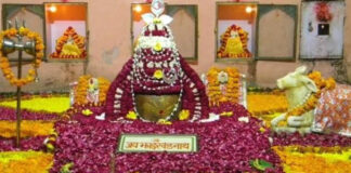 छोटीकाशी में शनि प्रदोष पर शिवालयों में हुआ सहस्त्रघट और रुद्राभिषेक