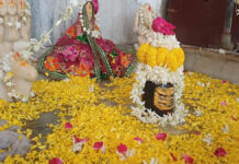 राम-लक्ष्मण द्वादशी पर भोलेनाथ का सहस्त्र घटाभिषेक, उमड़ी श्रद्धालुओं की भीड़