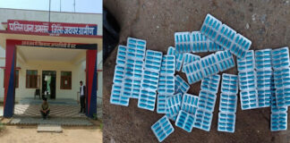 376 ट्रोमाडोल कैप्सूल के साथ युवक गिरफ्तार Youth arrested with 376 Tramadol capsules.