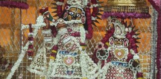 भौमवती अमावस्या पर मंदिरों में उमड़ी श्रद्धा: दान-पुण्य और पितृ तर्पण से मांगा सुख-समृद्धि का आशीर्वाद Devotees throng temples on Bhaumvati Amavasya.