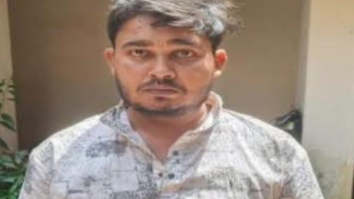 Two cunning burglars arrested.