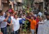 विरासत की नई शुरुआत इंदिरा बाजार में 150 साल पुराना बरगद गिरने के बाद जयपुरवासियों ने रोपा नया पेड़ Jaipur residents planted a new tree after a 150-year-old banyan tree fell.