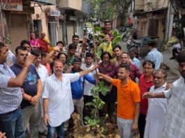 विरासत की नई शुरुआत इंदिरा बाजार में 150 साल पुराना बरगद गिरने के बाद जयपुरवासियों ने रोपा नया पेड़ Jaipur residents planted a new tree after a 150-year-old banyan tree fell.