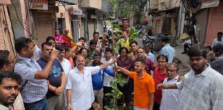 विरासत की नई शुरुआत इंदिरा बाजार में 150 साल पुराना बरगद गिरने के बाद जयपुरवासियों ने रोपा नया पेड़ Jaipur residents planted a new tree after a 150-year-old banyan tree fell.