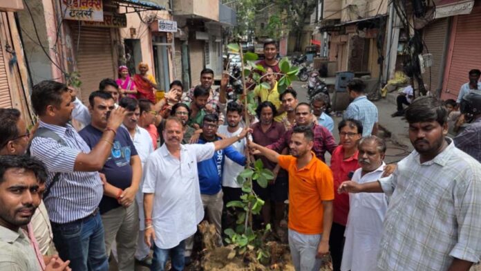 Jaipur residents planted a new tree after a 150-year-old banyan tree fell.