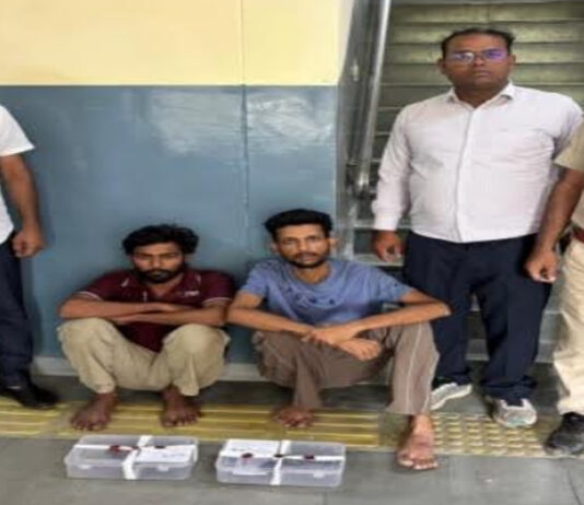 दो देशी पिस्टल-कारतूस सहित दो हिस्ट्रीशीटर गिरफ्तार