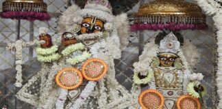 श्वेत लप्पा पोशाक और बड़े मुकुट में सजे गोविंद देव जी