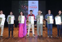 अंतरराष्ट्रीय बाघ दिवस पर गूंजा संरक्षण का संदेश Message of conservation resonates on International Tiger Day.