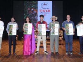 अंतरराष्ट्रीय बाघ दिवस पर गूंजा संरक्षण का संदेश Message of conservation resonates on International Tiger Day.