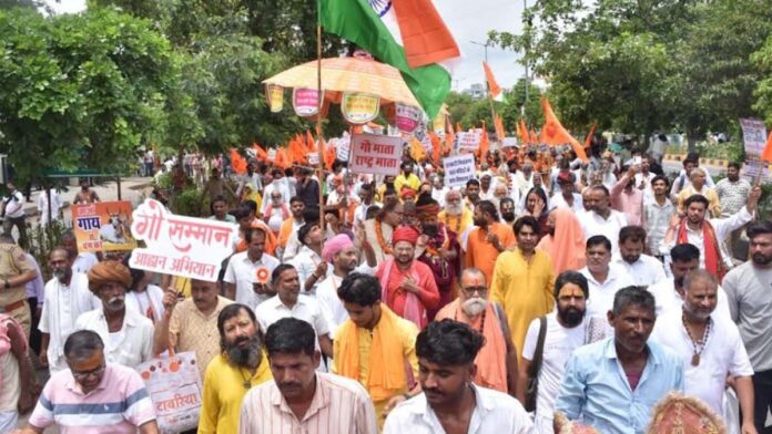 Cow devotees roar in Jaipur